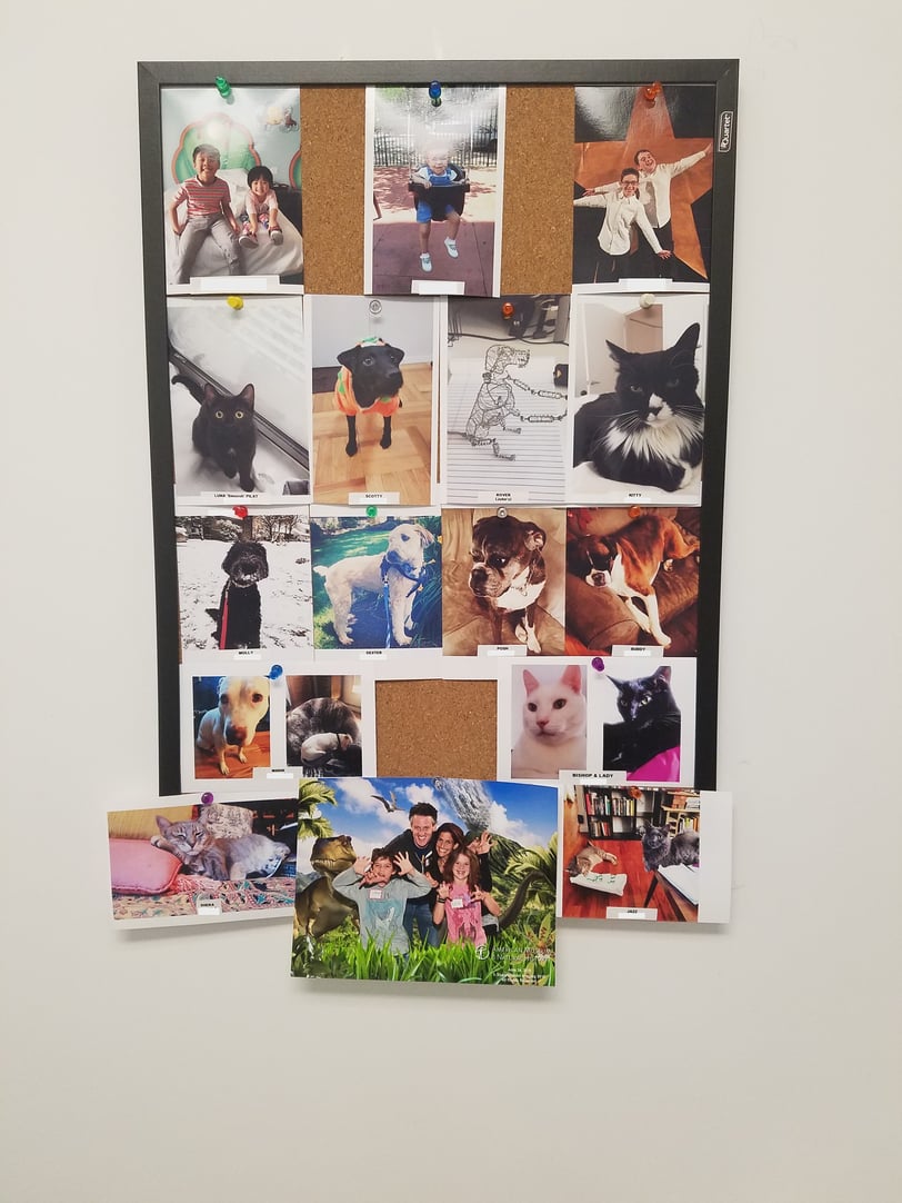 PhotoWall-name covered.jpg