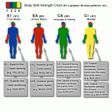 body_skill_2007