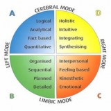 brainmodes